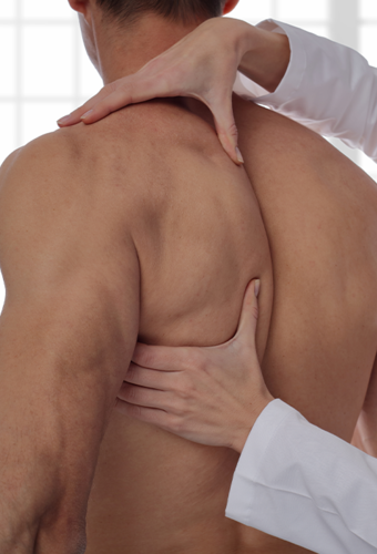 Osteopathic Practice Jacqueline de Jong TSM_osteopathie_algemeen.png